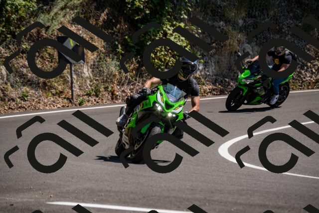 202508091437-_DSC2243_d2_