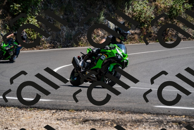 202508091437-_DSC2244_d2_