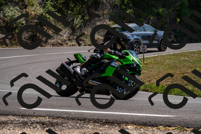 202508091437-_DSC2245_d2_