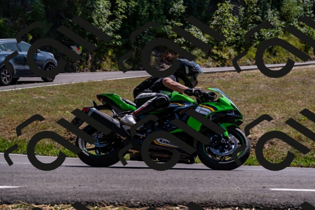 202508091437-_DSC2246_d2_