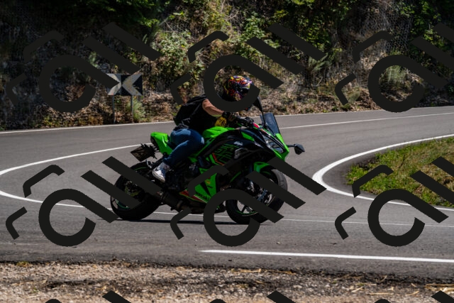 202508091437-_DSC2247_d2_