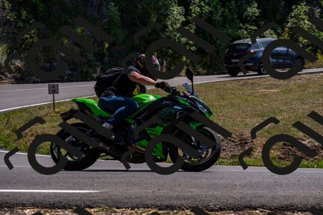 202508091437-_DSC2248_d2_