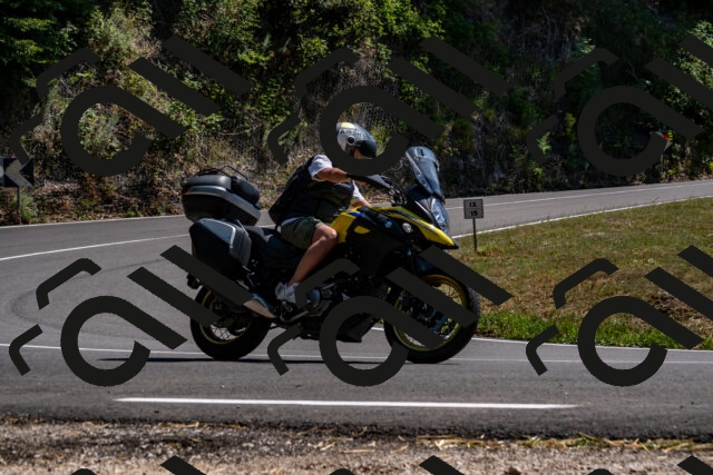 202508091444-_DSC2251_d2_