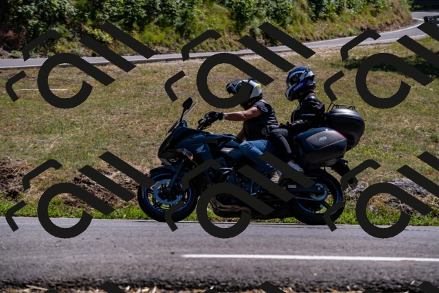 202508091446-_DSC2261_d2_