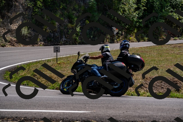 202508091446-_DSC2262_d2_