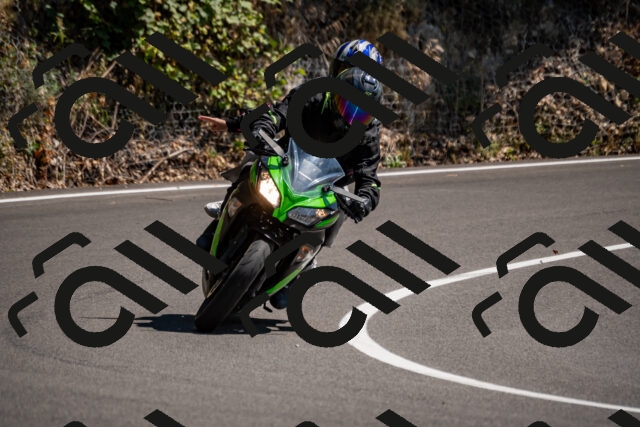 202508091450-_DSC2263_d2_