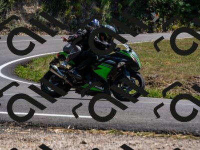 202508091450-_DSC2265_d2_