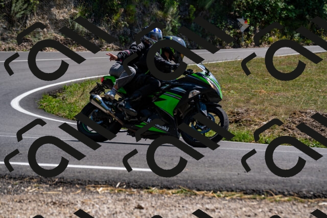 202508091450-_DSC2265_d2_