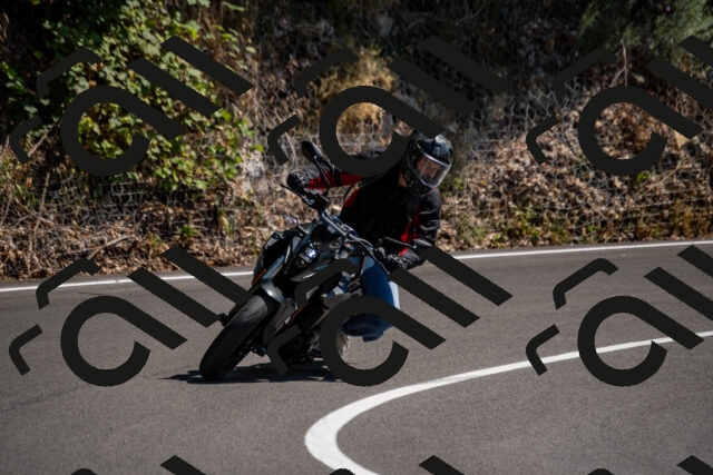 202508091459-_DSC2267_d2_