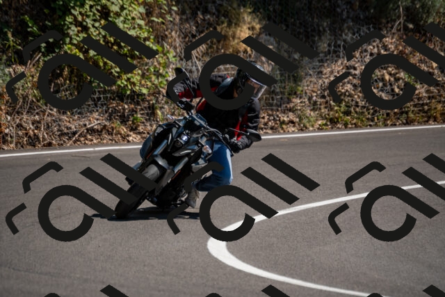 202508091459-_DSC2268_d2_