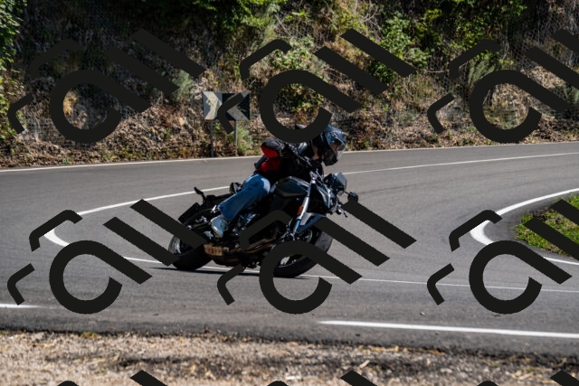 202508091459-_DSC2269_d2_