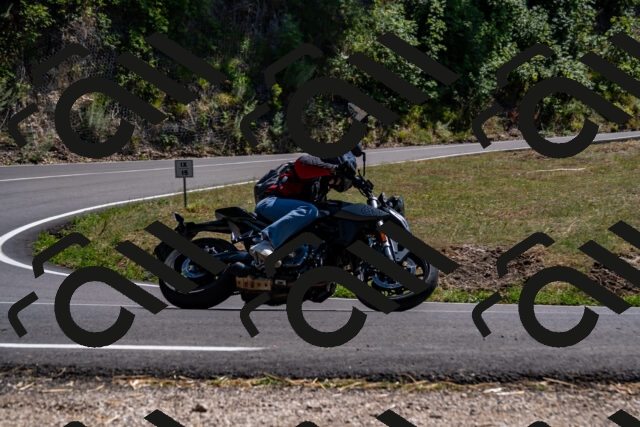 202508091459-_DSC2270_d2_