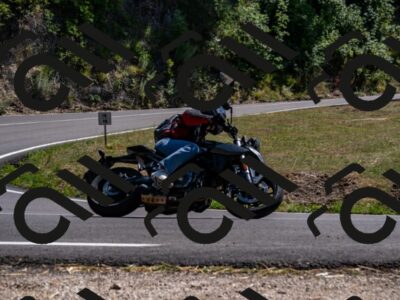 202508091459-_DSC2270_d2_