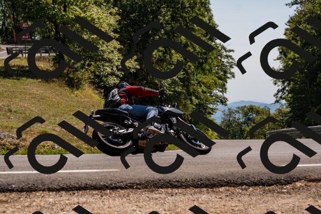 202508091459-_DSC2271_d2_