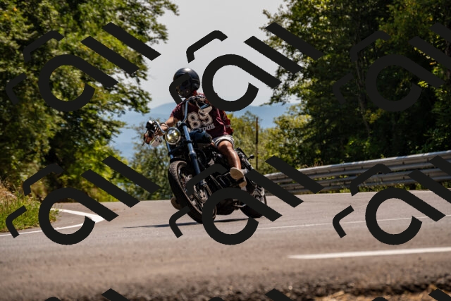 202508091500-_DSC2272_d2_