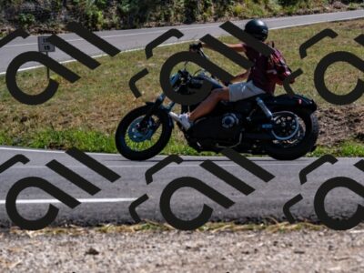 202508091500-_DSC2274_d2_