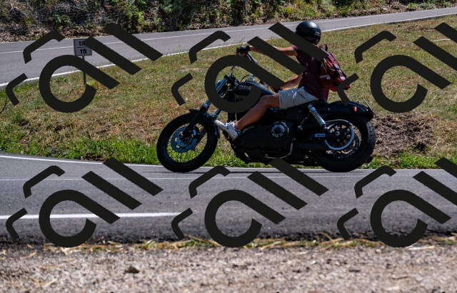 202508091500-_DSC2274_d2_