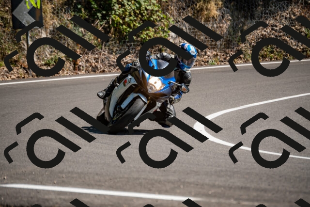 202508091502-_DSC2276_d2_