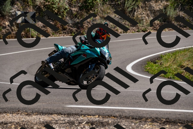 202508091502-_DSC2281_d2_