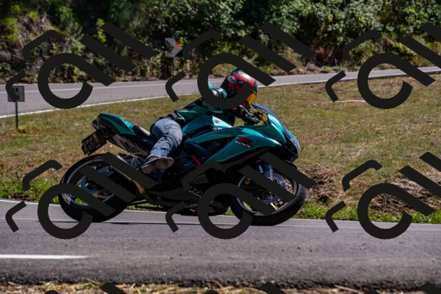 202508091502-_DSC2282_d2_