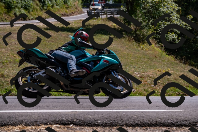 202508091502-_DSC2283_d2_