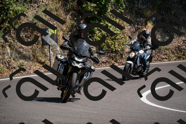 202508091507-_DSC2289_d2_