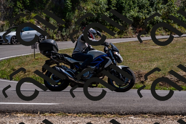 202508091507-_DSC2293_d2_