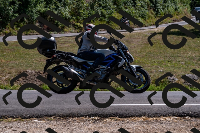 202508091507-_DSC2294_d2_