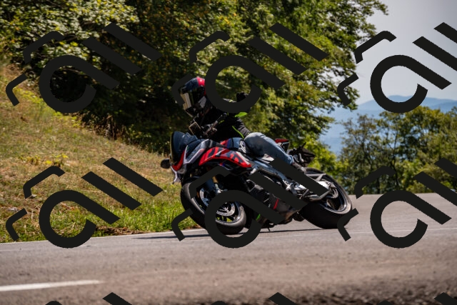 202508091509-_DSC2296_d2_