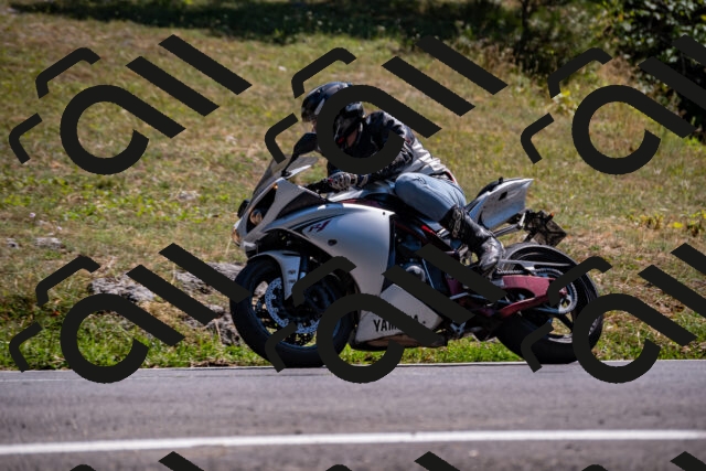 202508091509-_DSC2299_d2_