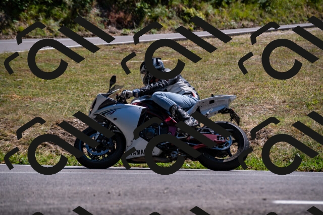 202508091509-_DSC2300_d2_