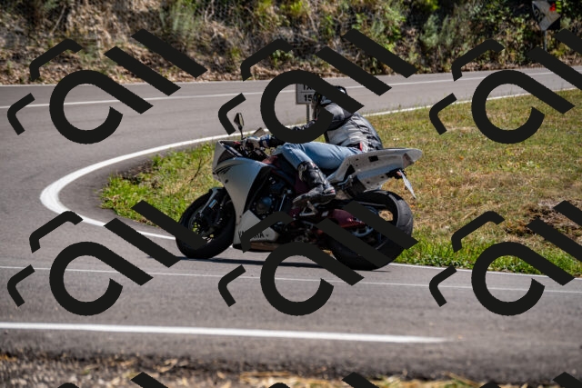 202508091509-_DSC2301_d2_