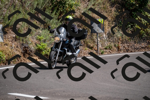 202508091509-_DSC2302_d2_