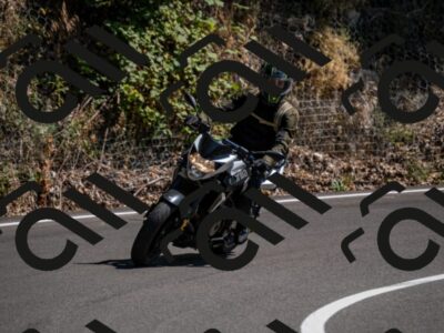 202508091510-_DSC2303_d2_