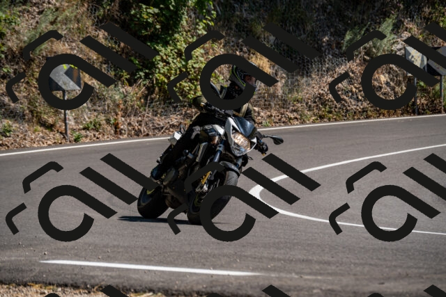 202508091510-_DSC2304_d2_