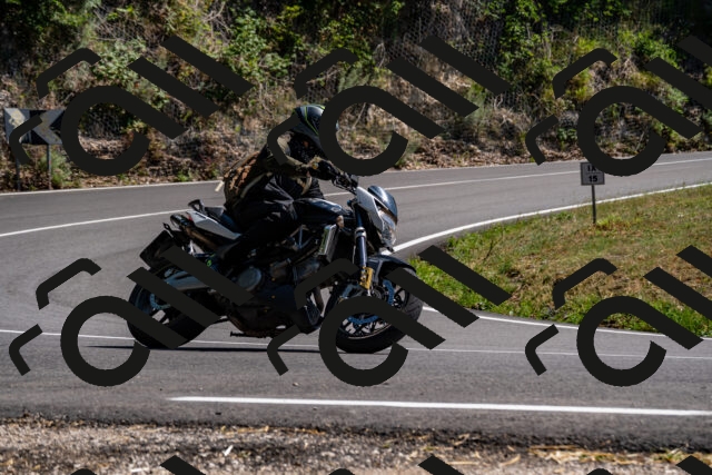 202508091510-_DSC2305_d2_