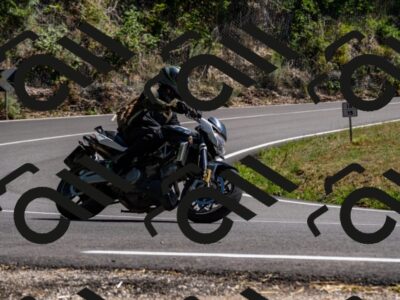 202508091510-_DSC2305_d2_