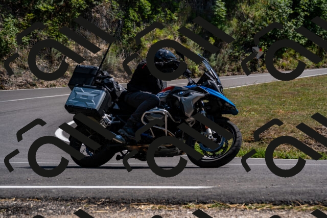 202508091512-_DSC2309_d2_