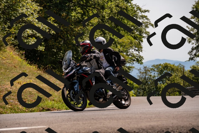 202508091516-_DSC2311_d2_