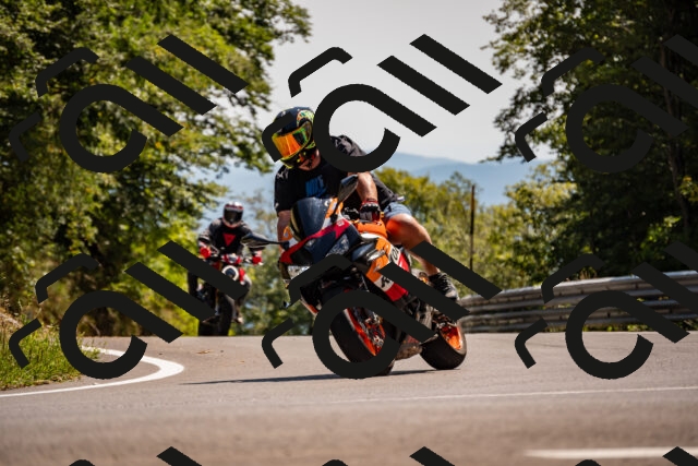 202508091517-_DSC2321_d2_