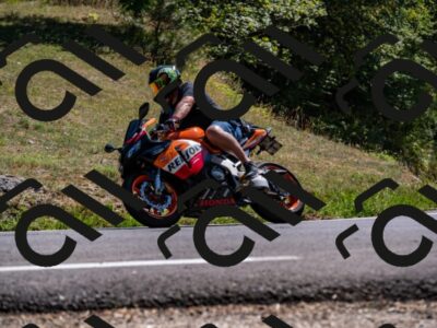 202508091517-_DSC2322_d2_