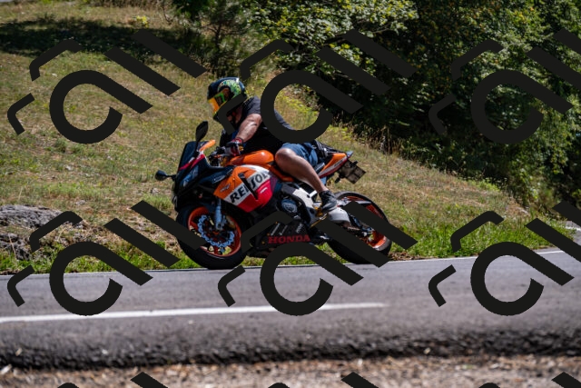 202508091517-_DSC2322_d2_