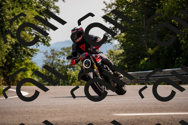 202508091517-_DSC2324_d2_