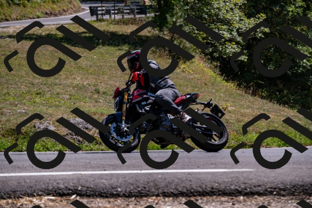 202508091517-_DSC2325_d2_