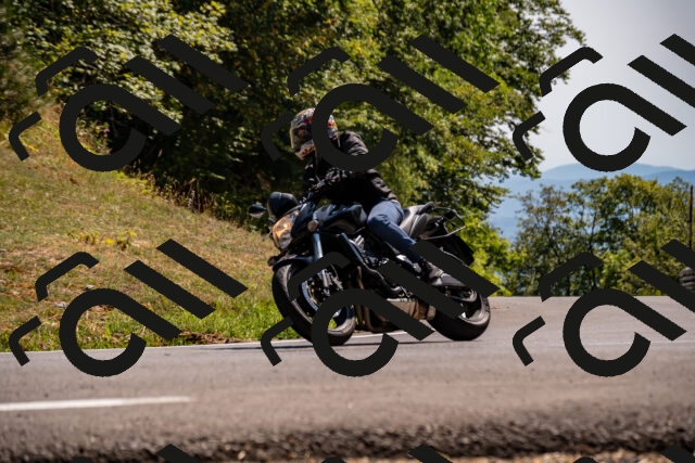 202508091517-_DSC2328_d2_