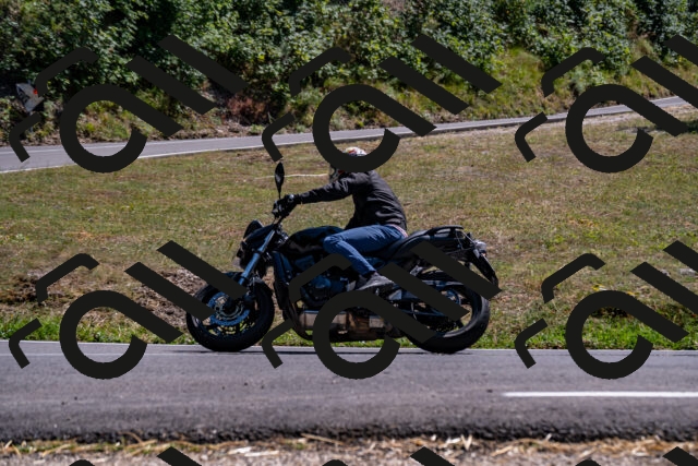 202508091517-_DSC2329_d2_