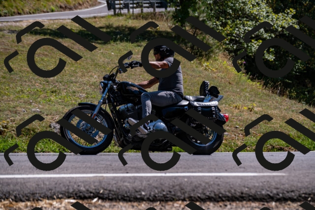 202508091518-_DSC2332_d2_