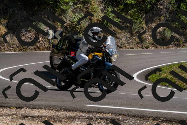 202508091519-_DSC2336_d2_