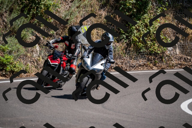 202508091520-_DSC2338_d2_