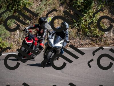 202508091520-_DSC2338_d2_